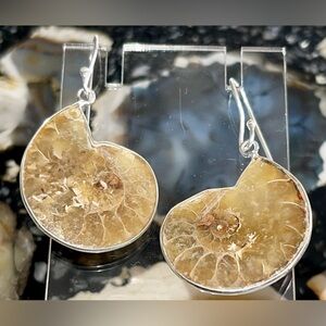 “Guidance Stone” Ammonite Earrings 1 1/2”